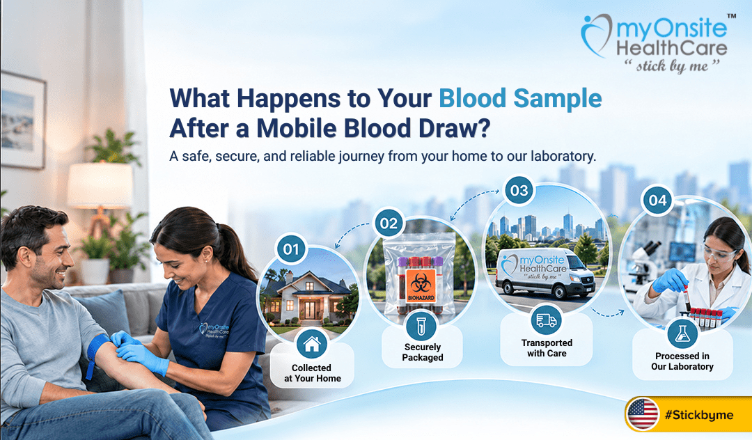 What Happens to Your Blood Sample After a Mobile Blood Draw?